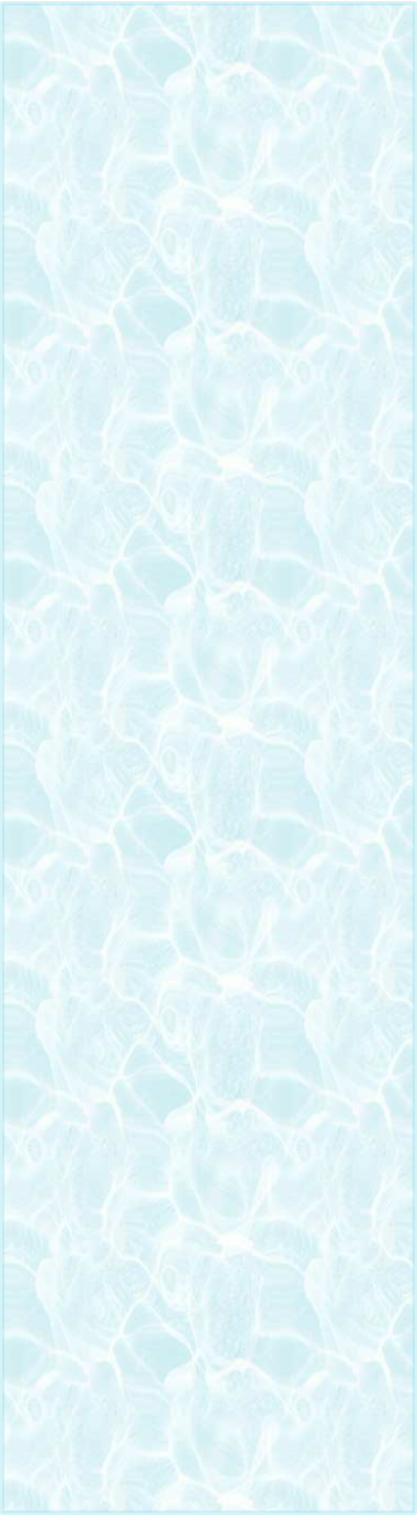 Perfection Pools & Spas, LLC